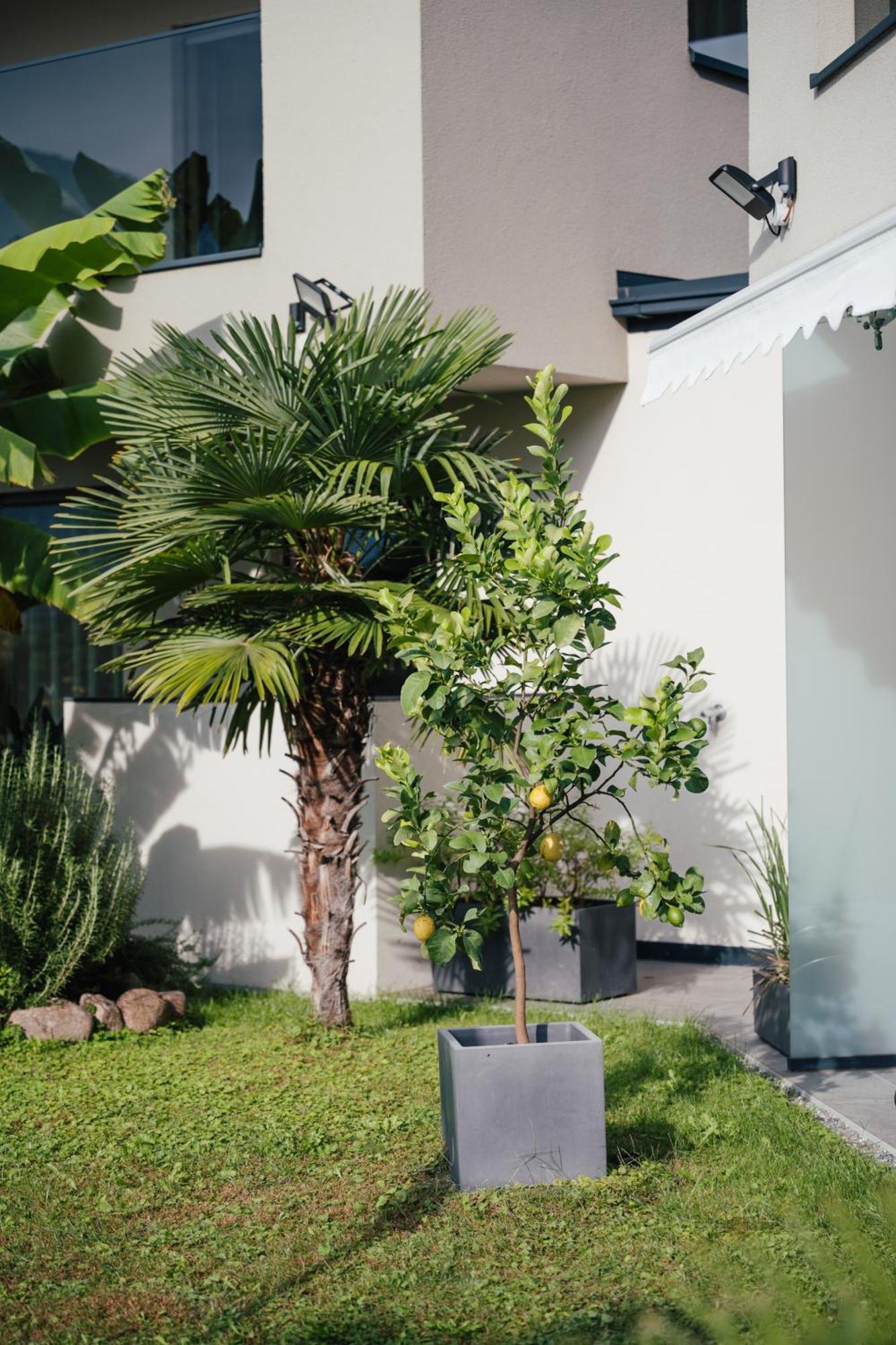 Garden Lodge Gargazzone Ngoại thất bức ảnh