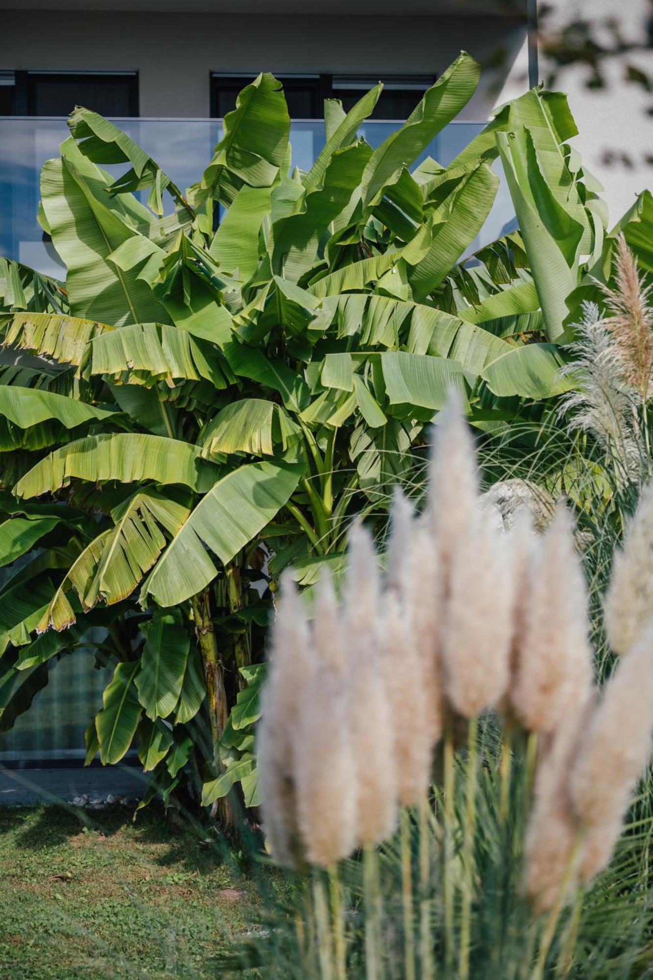 Garden Lodge Gargazzone Ngoại thất bức ảnh